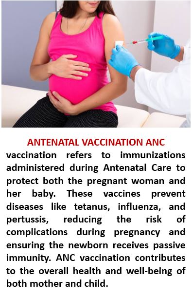 ANTENATAL VACCINATION 