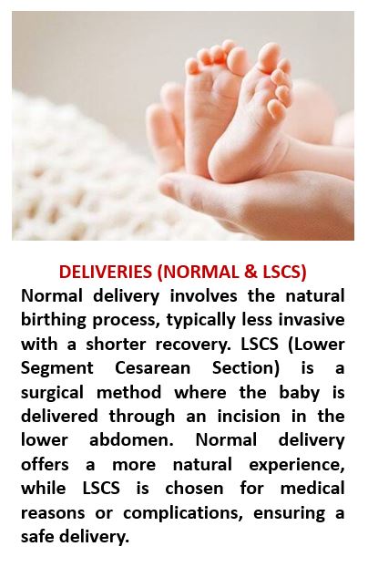 DELIVERIES (NORMAL & LSCS)